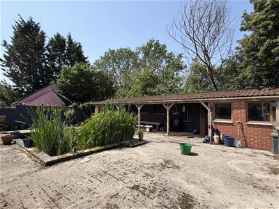 Picture 27